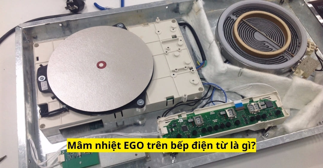 Mâm nhiệt EGO trên bếp điện từ là gì