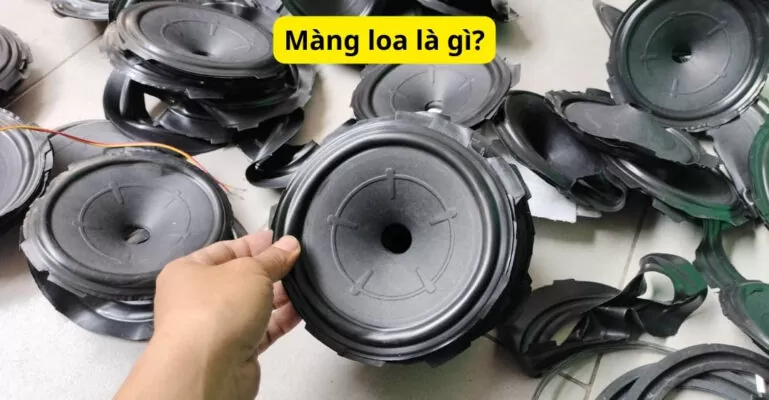 Màng loa là gì