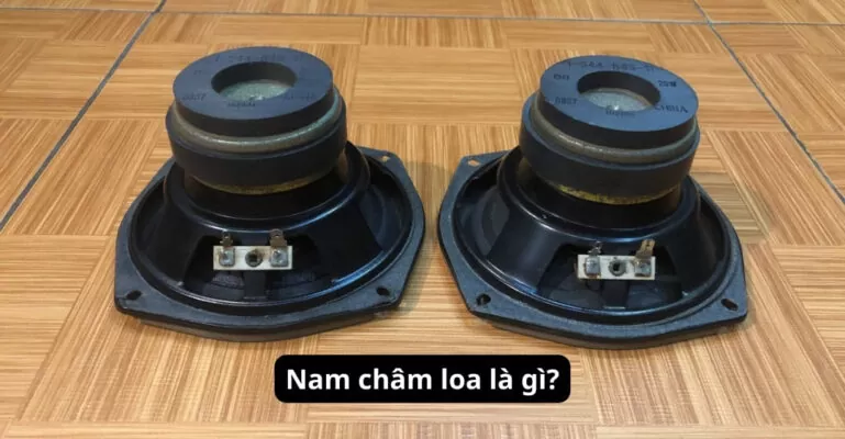 Nam châm loa là gì