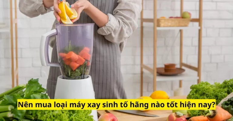 Nên mua loại máy xay sinh tố hãng nào tốt hiện nay