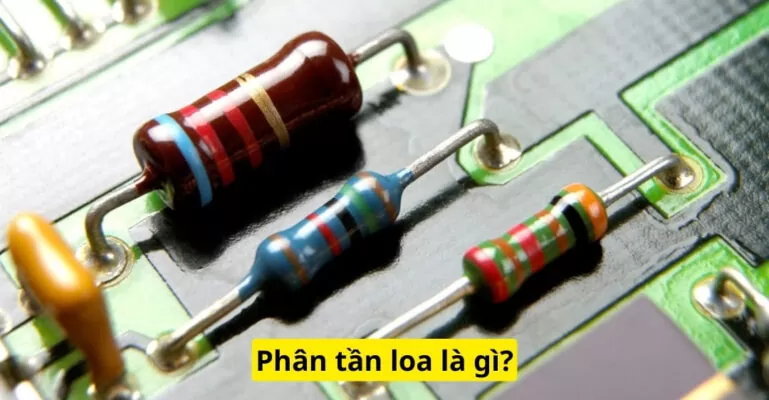 Phân tần loa là gì