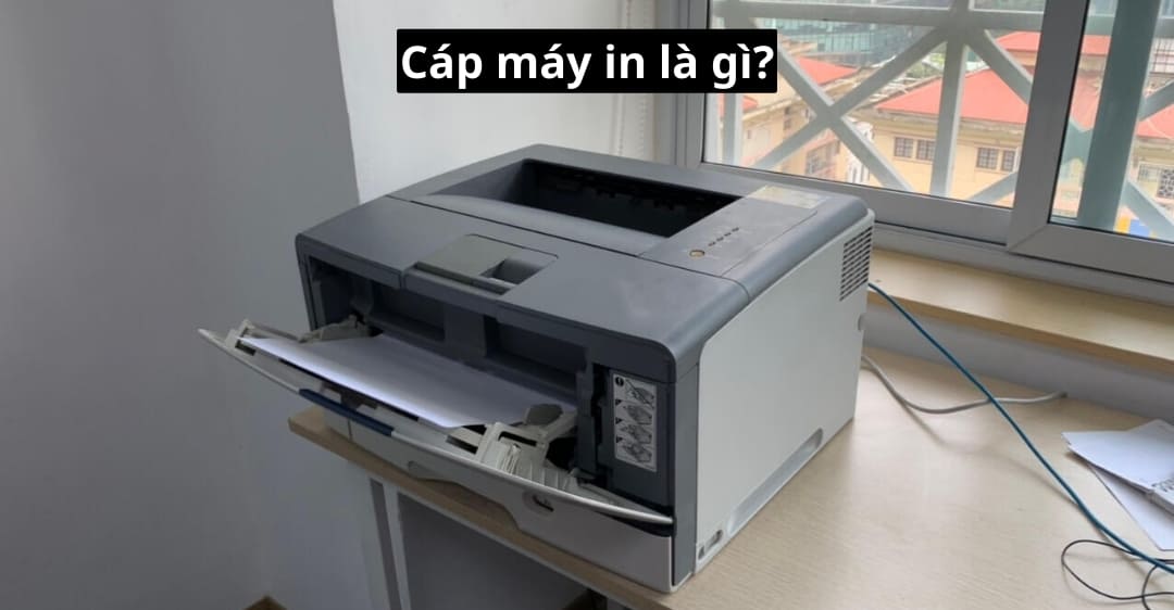 Cáp máy in là gì