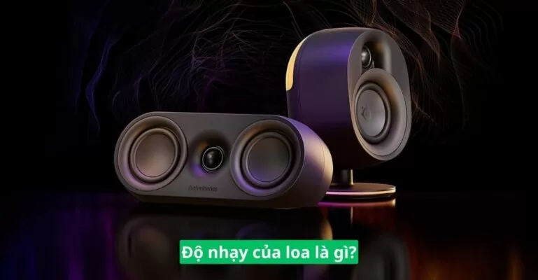 Độ nhạy của loa là gì