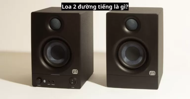 Loa 2 đường tiếng là gì