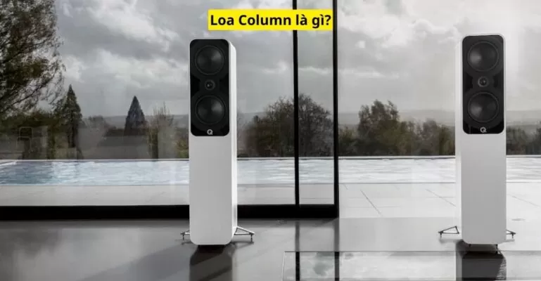 Loa Column là gì