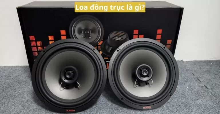 Loa đồng trục là gì