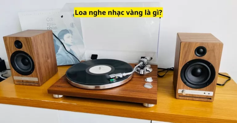 Loa nghe nhạc vàng là gì