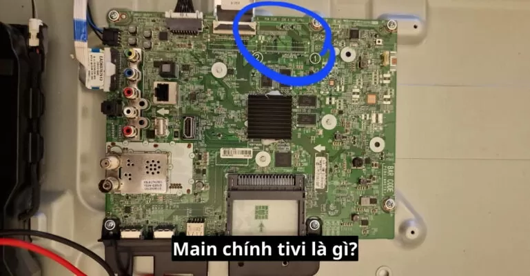 Main chính tivi là gì