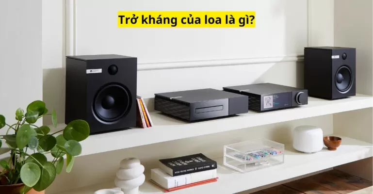 Trở kháng của loa là gì