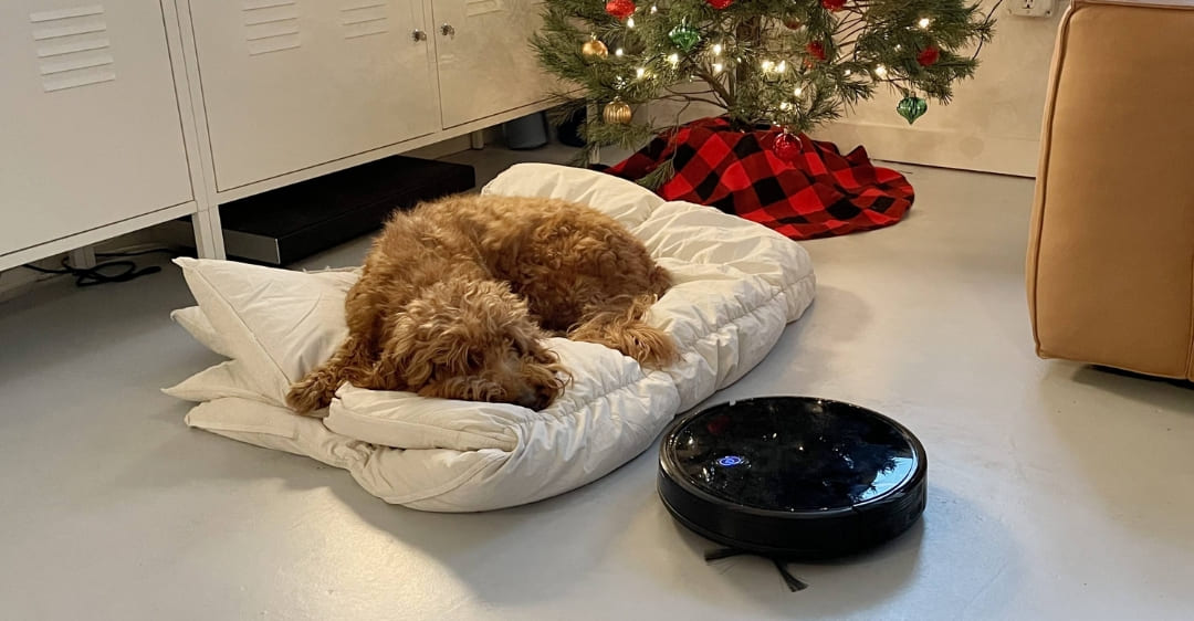 robot hút bụi không ồn