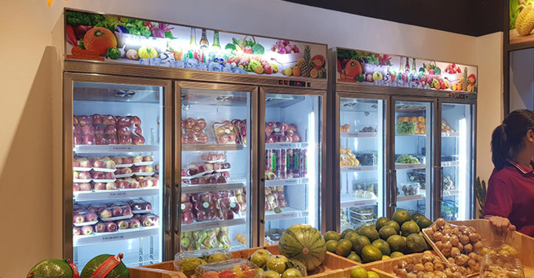 Sửa Chữa Tủ Bảo Quản Hoa Quả