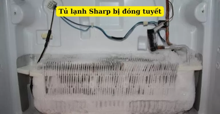 tủ lạnh sharp bị đóng tuyết
