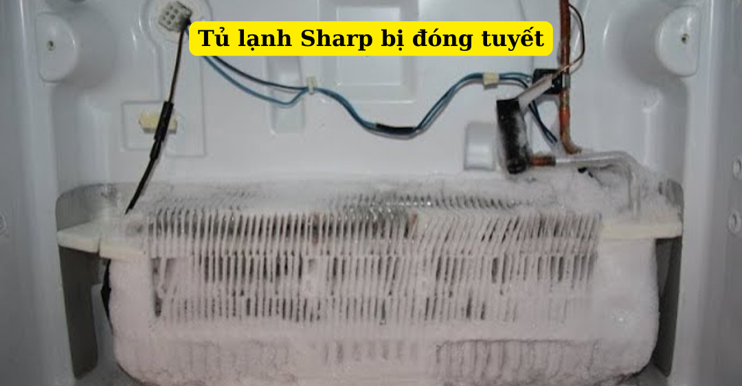 tủ lạnh sharp bị đóng tuyết
