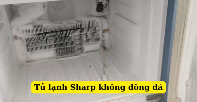 tủ lạnh sharp không đông đá