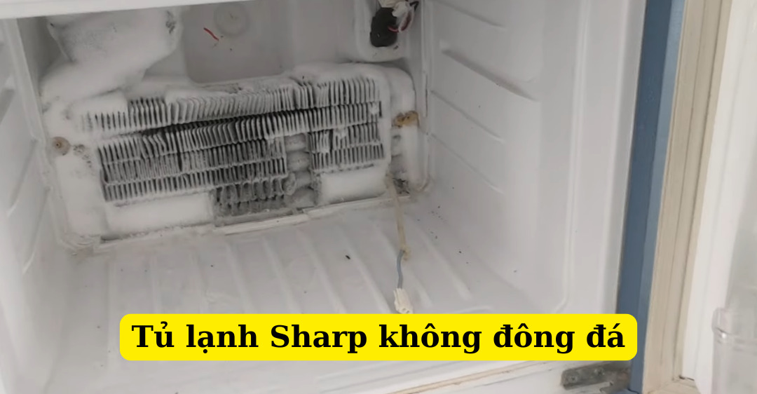 tủ lạnh sharp không đông đá