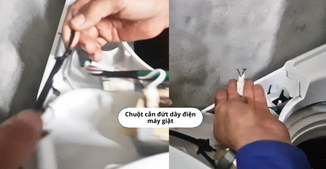 Nguyên nhân máy giặt Toshiba báo lỗi E2